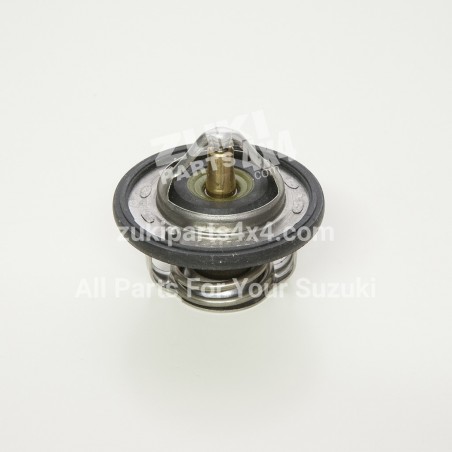 THERMOSTAT WATER