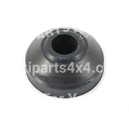 CUSHION,BODY MOUNTING