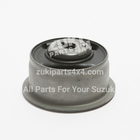 Diff Rear Mounting