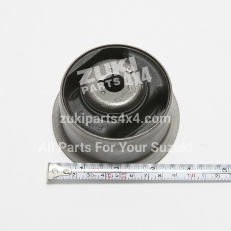 Diff Rear Mounting