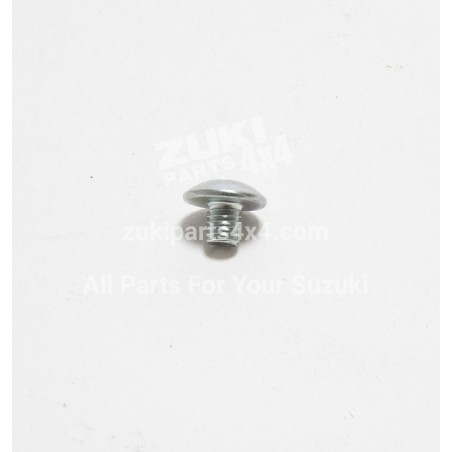 Glass Mouting Screw