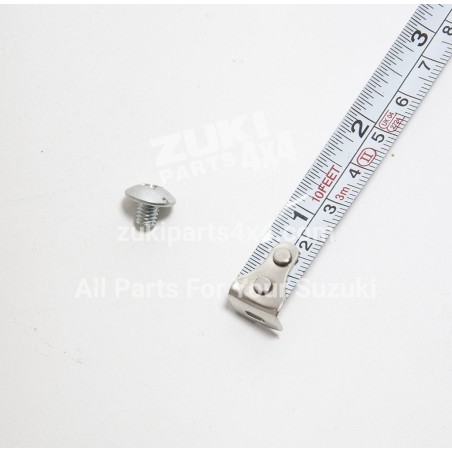 Glass Mouting Screw
